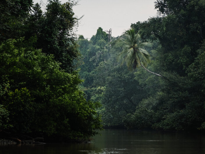 Costa Rica, l'appel de la jungle
